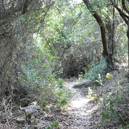 Balcony To The Aegean Sea - Pelion, Lampinou 37012 Villa