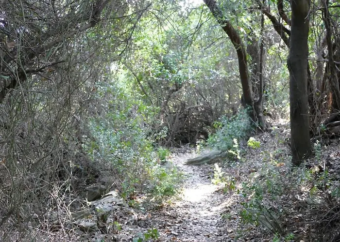 Balcony To The Aegean Sea - Pelion, Lampinou 37012 Villa
